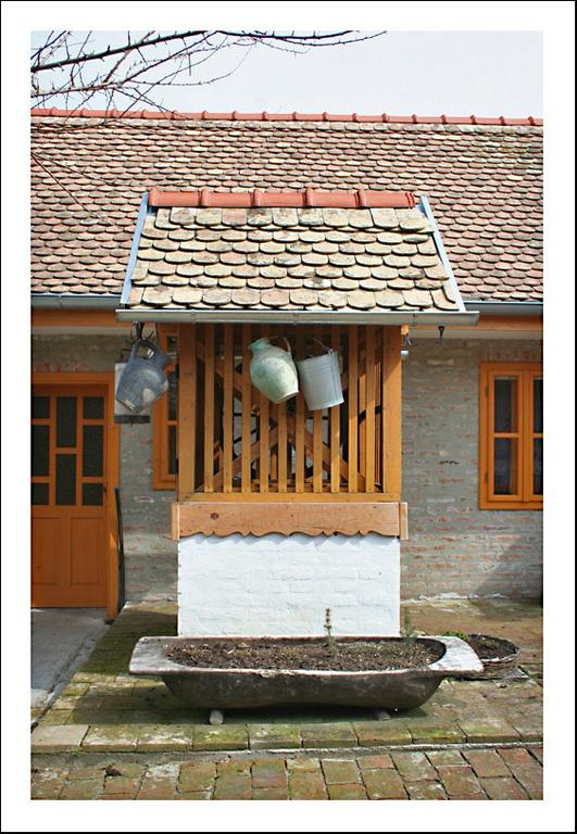 Casa per vacanze "pod dudom" Aljmaš
