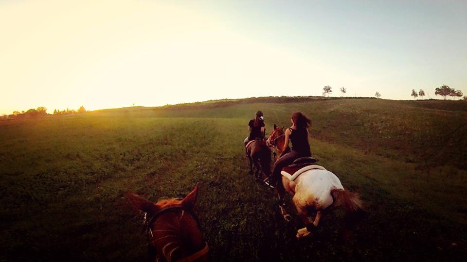 Ranch Indiana