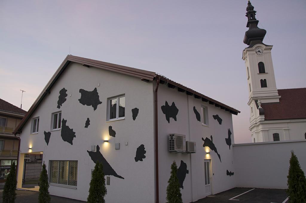 Hostel 101 Dalmatinac