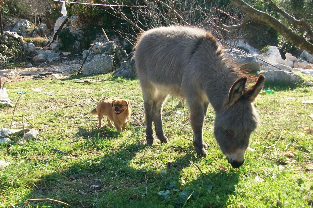 Agritourism Matuško