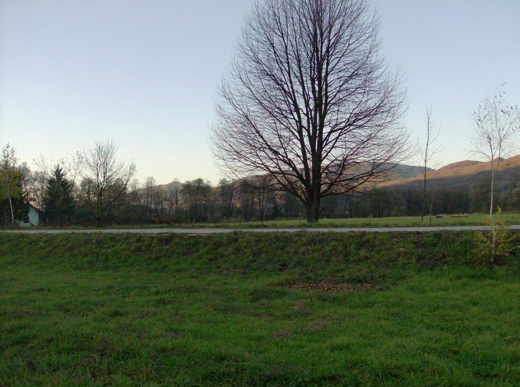 Sto affittando un cottage