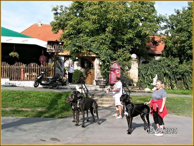 Ausflugsziel "Zeko", Aljmaš ,,, Übernachtung 80 kn pro Person