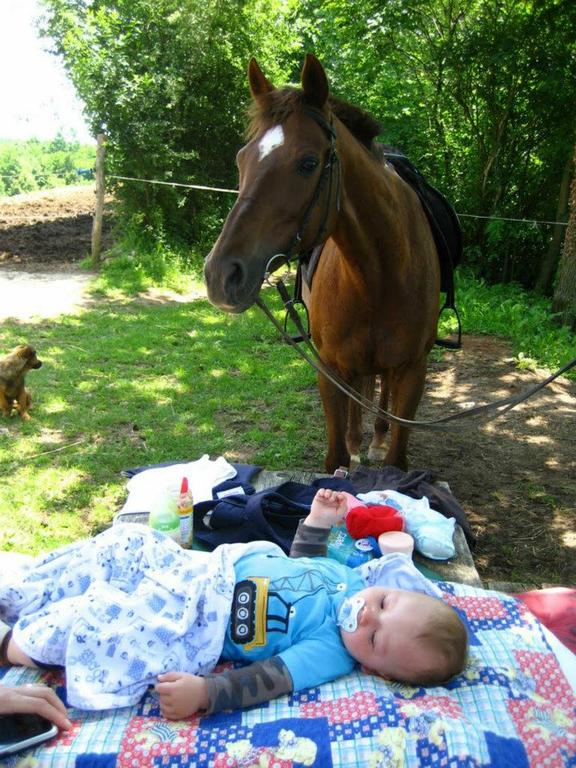 Ranch Indiana