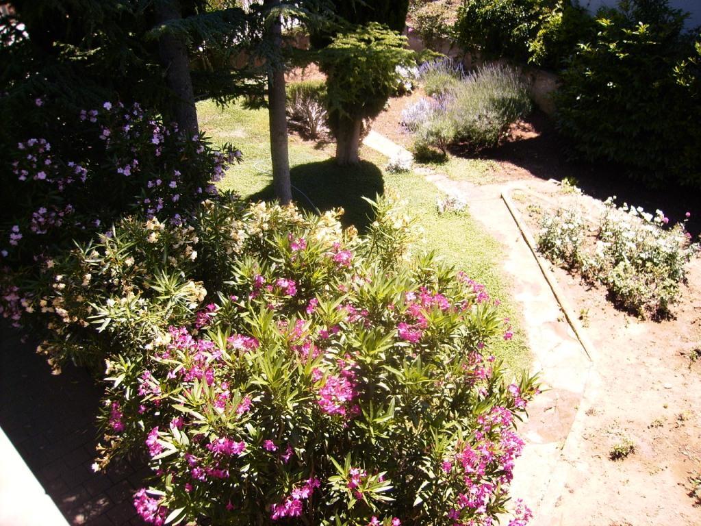 Apartment "Vera"