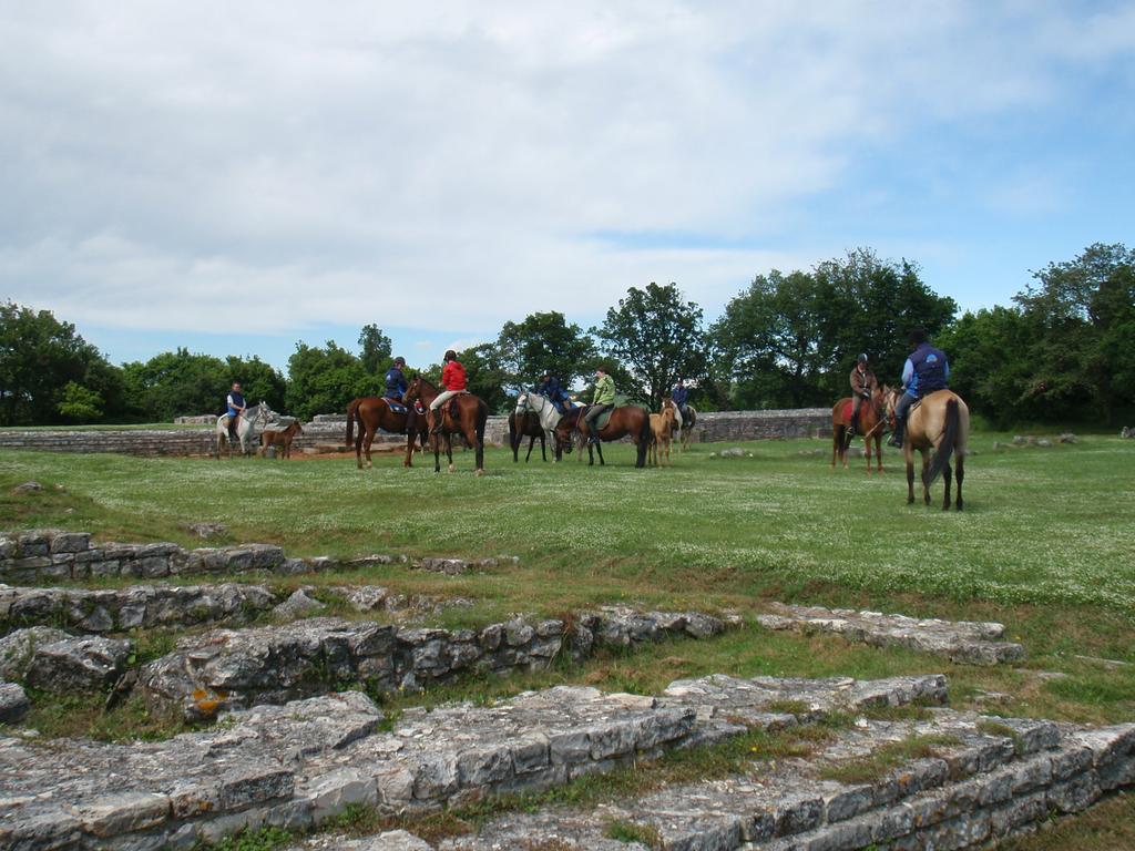 Ranch Istra Star
