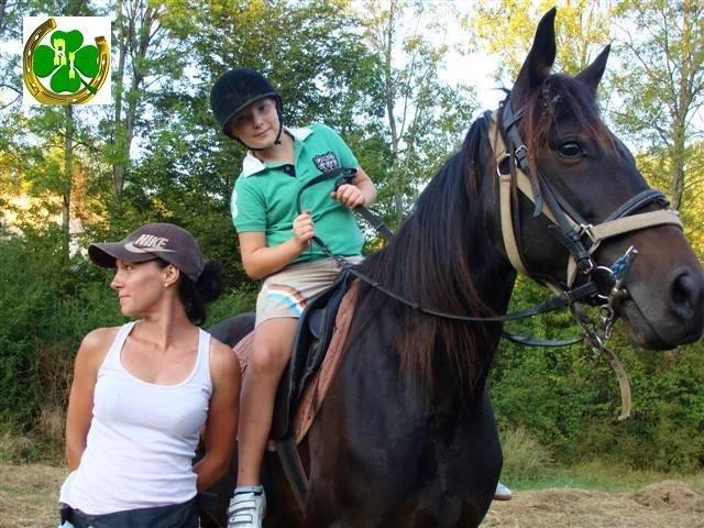 Kuća za odmor Novosel  * * * * - Country House Novosel