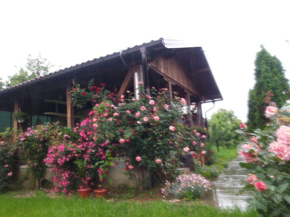 Cottage Memić Lake Modrac