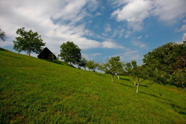 Kućica u Luki - domaća idila samo 20ak minuta od Zagreba