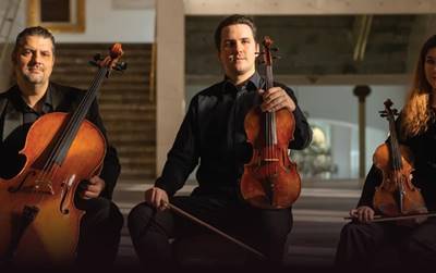 Gudački trio TriNity