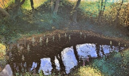 Andrew Norris - Mlaka: the last dew pond in Bukovlje