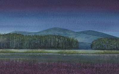 Siniša Reberski - Tihe slike