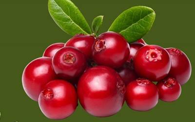 Ekološki sajam Opatija