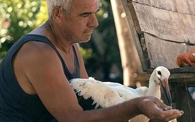 POP-DOK!: Priča o Siljanu