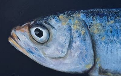 Likovno putovanje kroz svijet forme, ritma i ravnoteže