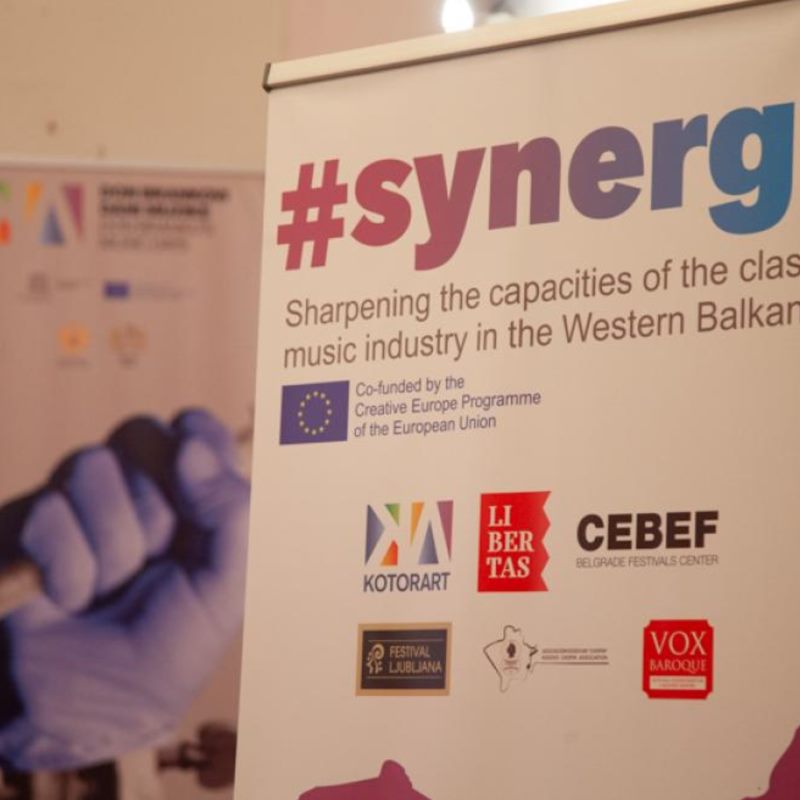 #SYNERGY FESTIVAL TOUR