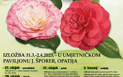 15. Festival kamelija