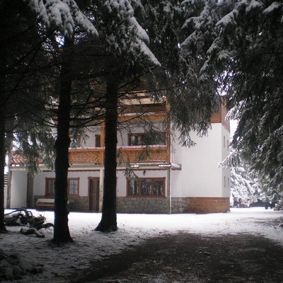 Foresta tribunale