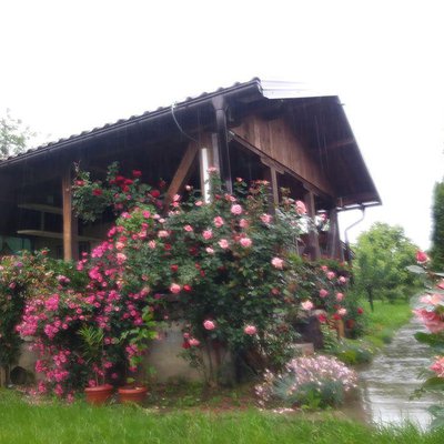 Cottage Memić Lago Modrac