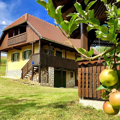 Kuća za odmor Novosel  * * * * - Country House Novosel