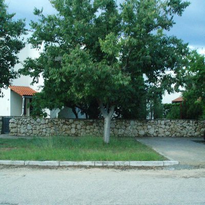 Apartman Oleandar