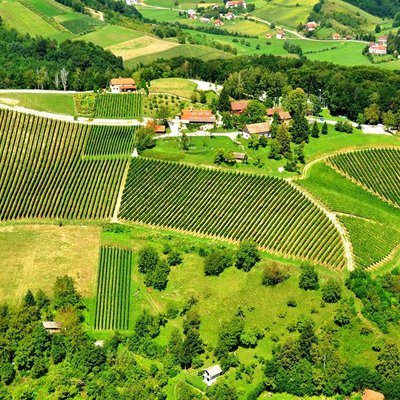 Vinarija, pansion & restaurant "Vuglec Breg"